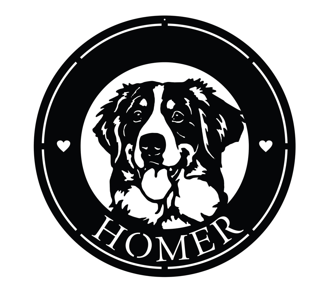 Bernese Mountain Dog