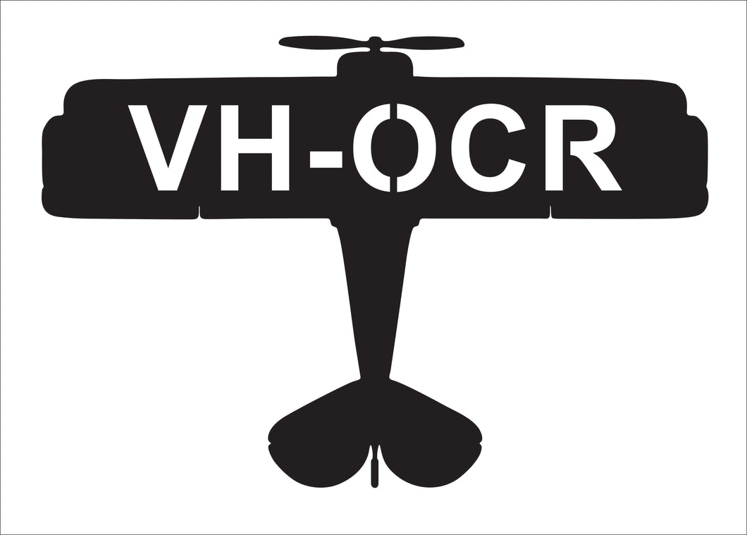 Airplane with custom text